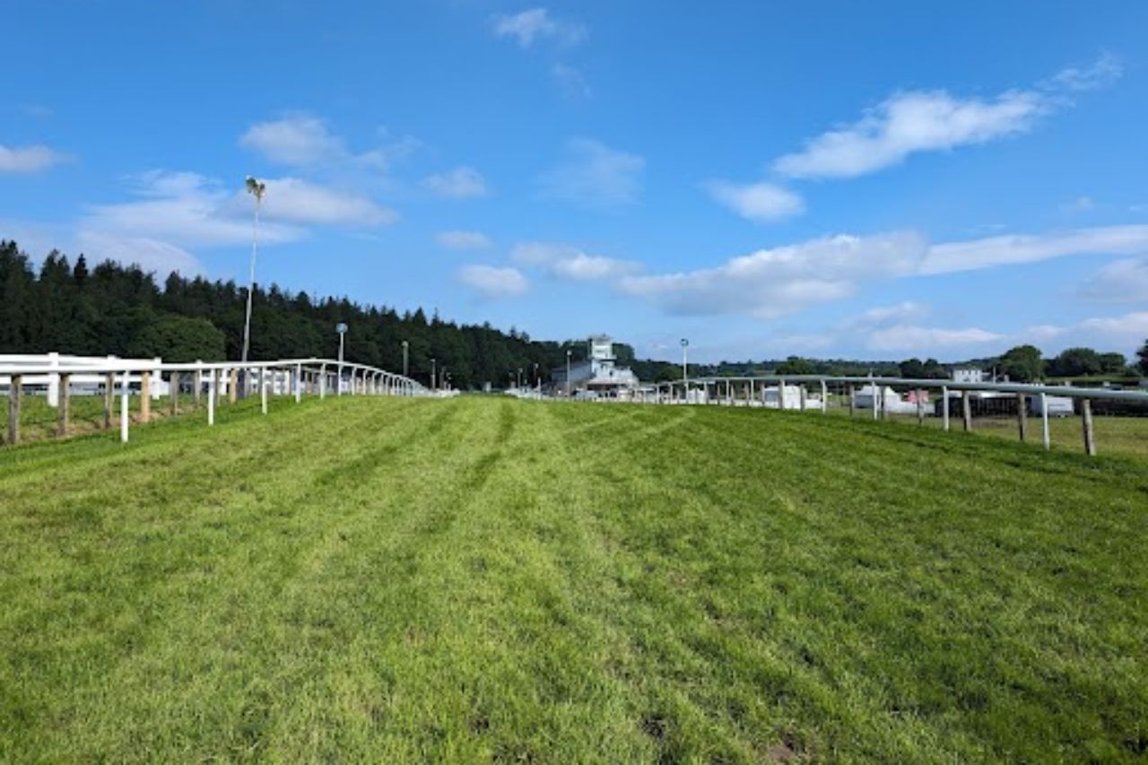 The Going - What Is It & What Does It Mean? 3 2 1