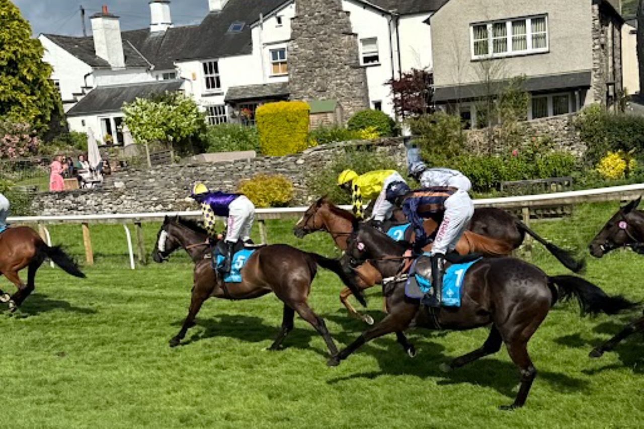 The Going - What Is It & What Does It Mean? 1 7 1