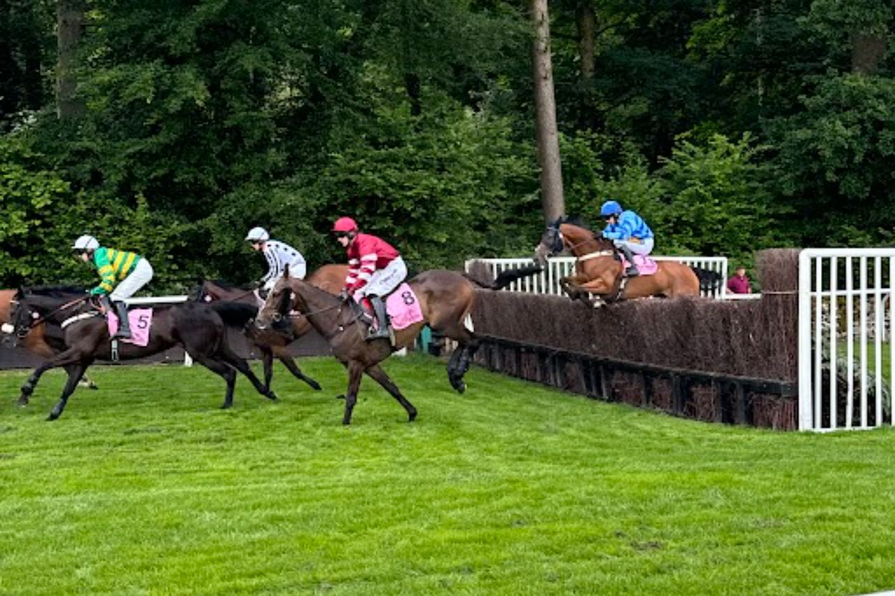 The Going - What Is It & What Does It Mean? 2 8 1