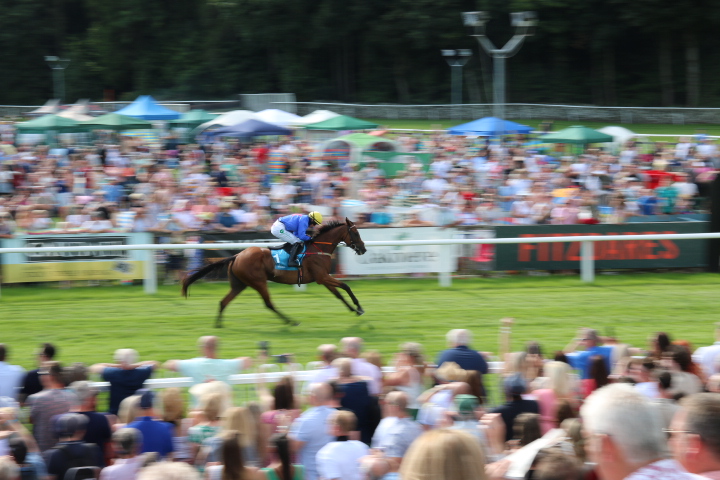 The Going - What Is It & What Does It Mean? 4 Copy of IMG 1561